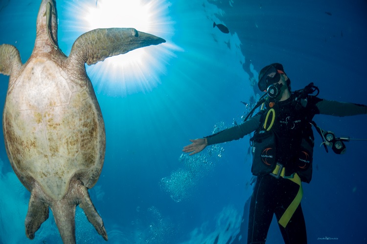 Dive Sipadan Malaysia