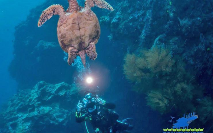 PADI Specialty Courses at Seaventures Dive Rig - Underwater Photography