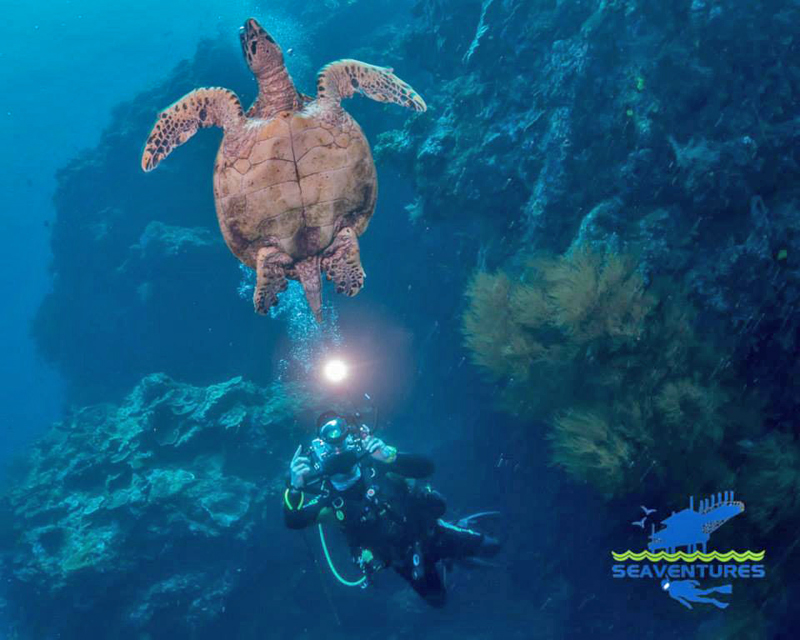 PADI Specialty Courses at Seaventures Dive Rig - Underwater Photography