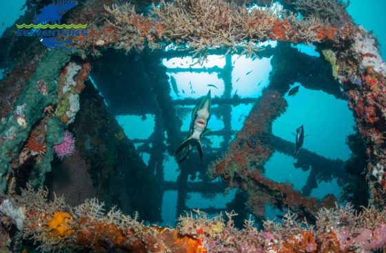 Wreck Diving