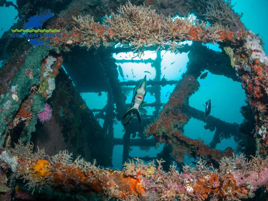 padi-wreck-diver-sipadan-kapalai