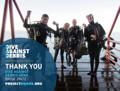 Seaventures Dive Rig 100 days of dive against debris