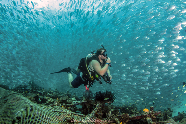 Dive with a dive computer