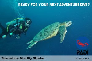 Seaventures Dive Rig Sipadan Diving PADI copy