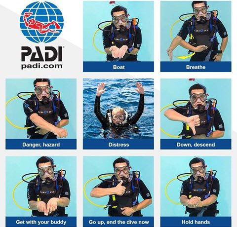 Scuba Divers Signage