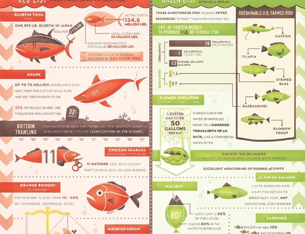 Seafood - making the right choice