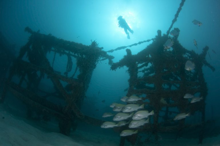 Dive Rig Seaventures Dive Rig: The Best House Reef in Malaysia